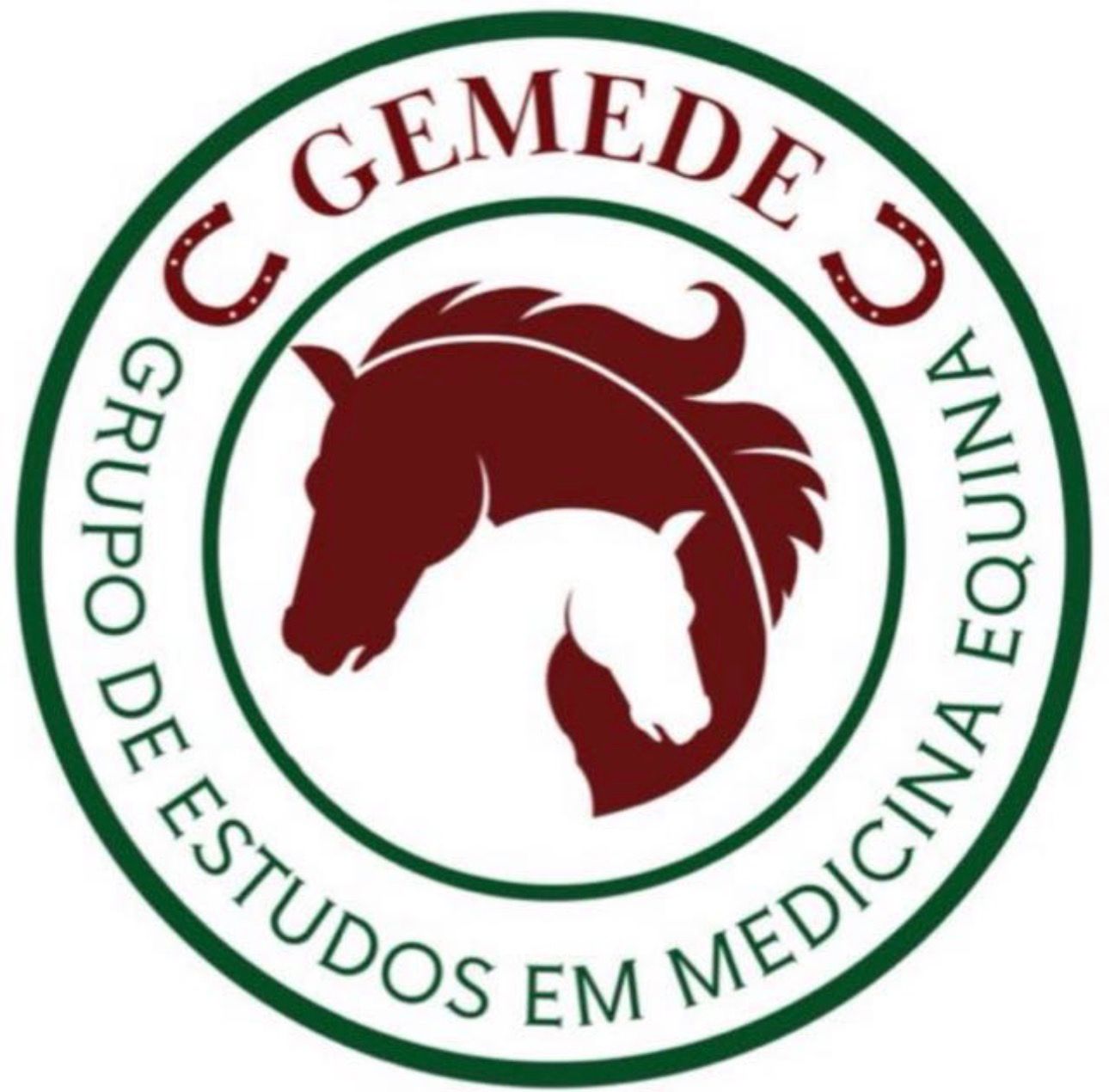 Logo oficial da GEMEDE, Grupo de Estudos em Medicina Equina